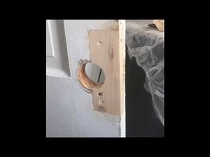 Cómo arreglar una puerta 🚪 rota