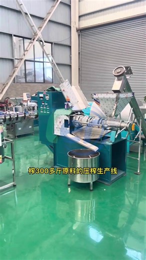 Efficient Oil Pressing Plant Equipment