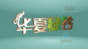 LOGO设计及三维展示和视频LOGO动态展示