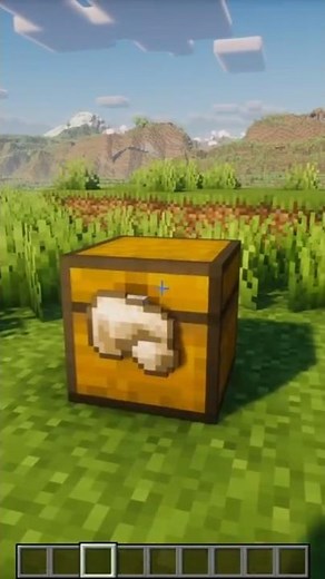 Minecraft INVISIBLE FRAME #minecraft #shorts