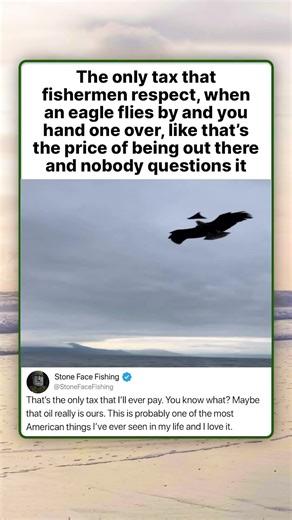 The only tax thatfishermen respect, when an eagle flies by and you hand one over, like that's the