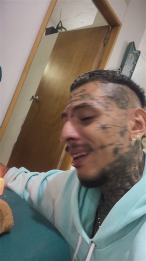 La conexión de amor puro con los gatos