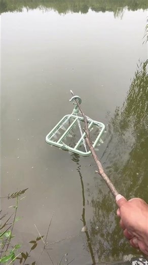 This Is What Happens When You Put Baits on a Clothes Hanger…