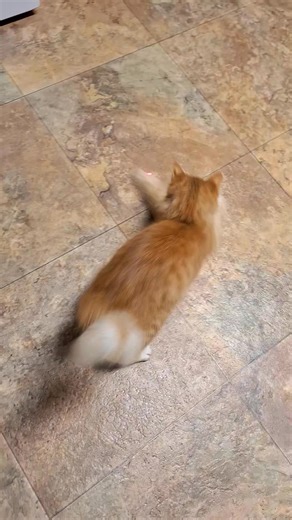 This is now what our evenings usually consist of....when did we get so old? | Noelle McLaughlin