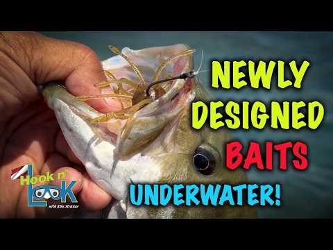 Newly Designed Baits, how and why they work! Volume 1.