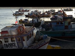 Frutos del País - Dalcahue