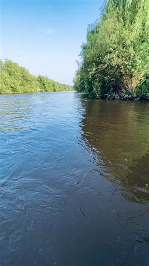 #perchfishing #favoritetotem #shimanofishing #mateilures #catchandrelease #lovenature #memories #spinning ,Prima partidă foarte slab apa destul de mare și foarte murdară sper să își revină și să apară și clenii frumoși . Fire întinse tuturor 🤝