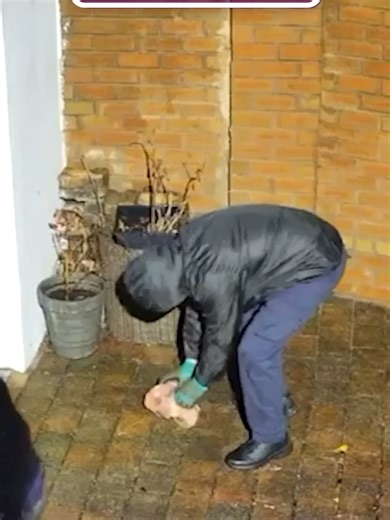 This is the moment a pig's head was mounted on the gates of a Muslim family's home #news #police #crime