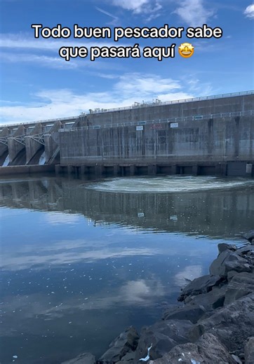 Kerr Dam Water Release for Fishing Enthusiasts