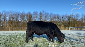 5.5K views · 62 reactions | 헣헿헼혃헲헻, 혁헼헽 헯헲헲헳-헼헻-헱헮헶헿혆 헯혂헹헹 - 헩헕...