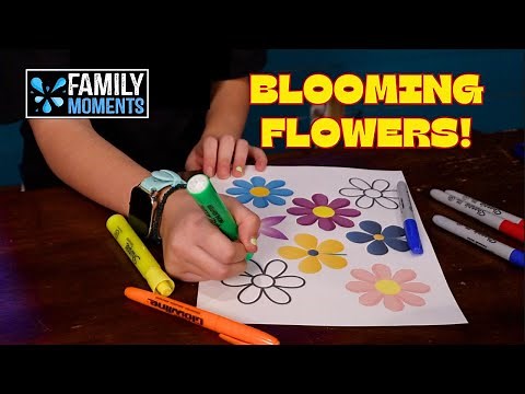 OBJECT LESSON ABOUT WORRY - BLOOMING FLOWERS