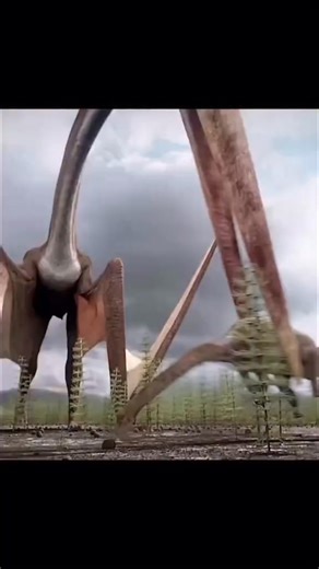 Pterosaurs are flying reptiles from the order Archosauromorphs, probably Archosauria (primate reptiles), that lived from the Late Triassic to the end of the Cretaceous (ca. 230 to 65.5 million years ago). Most often classified as archosaurs of the clade Avemetatarsalia (which includes birds and archosaurs more closely related to them than to crocodiles), closely related to dinosauromorphs. However, some cladistic analyses suggest they may have been members of the clade Archosauriformes, not belo