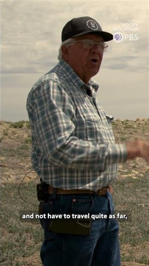 Colorado ranchers face major cattle sell-off