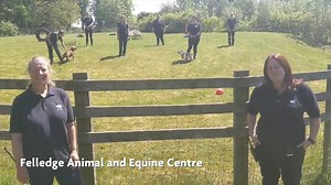 20K views · 306 reactions |    This #VolunteersWeek, we want to say a massive thank mew to all our incredible volunteers, without whom we wouldn't be able to help thousands upon thousands of animals every year! Whilst not all of you have been able to volunteer as normal, we appreciate everything you do and can't wait to see you soon. Join our team today: https://bit.ly/2MhWn75 | RSPCA (England & Wales) | Facebook