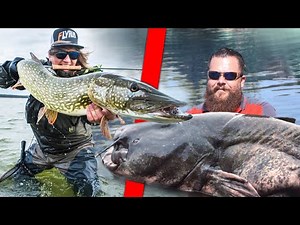WELSANGLER vs Fliegenfischer beim Waller-Angeln | Fishing Wars