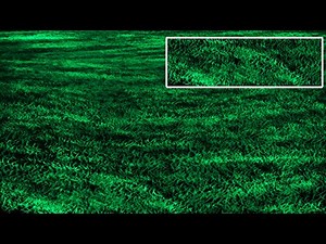 Adobe illustrator Grass field Tutorial