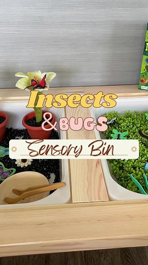 Exploring the World of Insects and Bugs Through Sensory Play