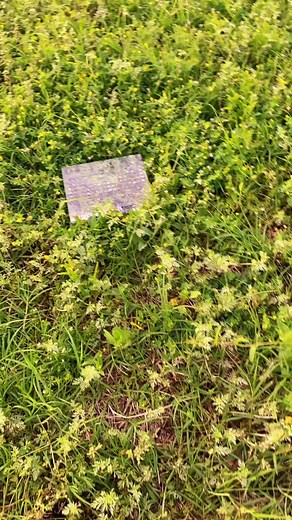 Exploring the Periodic Table with Real Elements