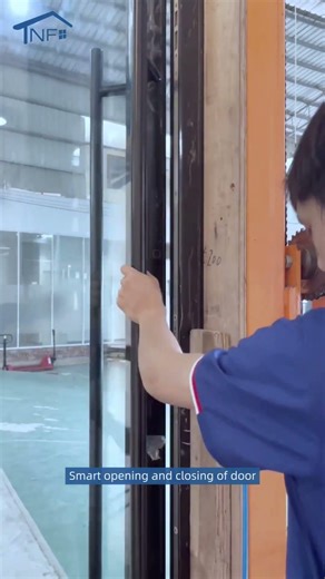 Pivot door 🔄🫙🚪 #doors #windows #glass #factory #foryou #hardware #steel #homerenovation