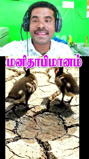 No deaths today in bird of prey units. #Kindness #NatureWonders #LifeSaving #Compassion