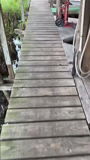 Third world PROBLEMS!!! #shellcracker #lakekissimmee #fishing