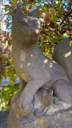 稲荷神社：薭田神社末社。商売繁盛と家内安全を司る、地元に愛されるお稲荷様。✨ Inari Shrine.