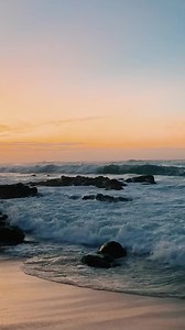 23K views · 928 reactions | Happy #NationalBeachDay!  From watching the waves to building sand castles, comment your favorite thing to do on the perfect beach day. To ensure that we are preserving the beauty of our beaches, we ask that you remember to leave no trace and respect each other and our wildlife. | Hawaiian Airlines | Facebook