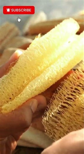 How to Use a Loofah for Body Exfoliation | Simple At-Home Body Care #Loofah