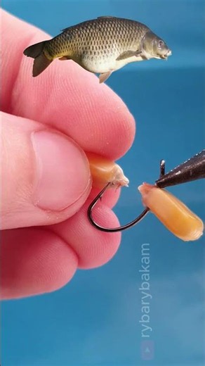 ✅HOW TO HOOK Corn Like a Pro — It Won’t Fall Off!🌽🦾