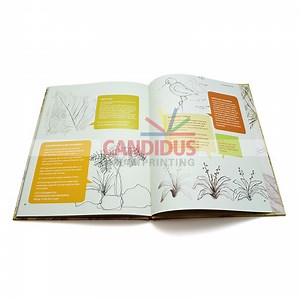 [Hot Item] Half Price Art Book Hardcover Book Printing