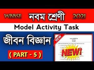 Class 9 Life Science model activity task part 5. Model activity task Life Science class 9 part 5.