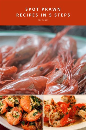 26K views · 34 reactions | Why should you eat spot prawns? 戀 Not...