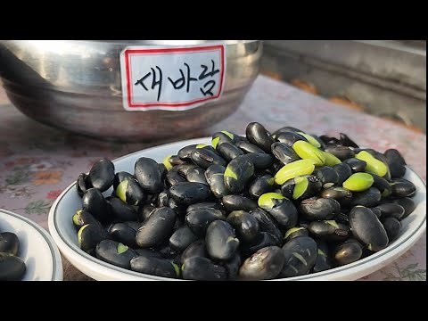 서리태 콩 5가지 맛 분석 최고 서리태는 이것?