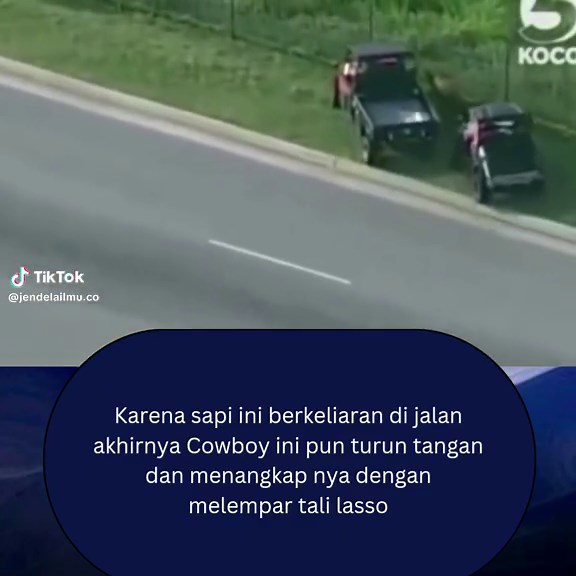 Funny Cowboy Videos - Real Life Cowboys and Cows Girls