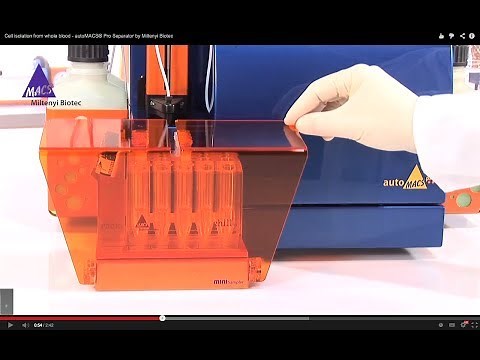 Cell Isolation from Whole Blood - autoMACS Pro Separator