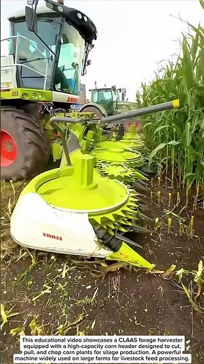 CLAAS Forage Harvester – High-Speed Corn Silage Cutting