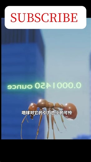 Can an Animal Survive a Big Fall?