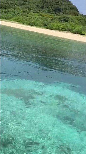 Amami Gunto National Park-Kagoshima, Japan #amami #island #tour