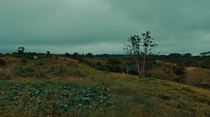 Farm Background Videos: Download 11,478+ Free 4K & HD Stock Footage Clips - Pixabay