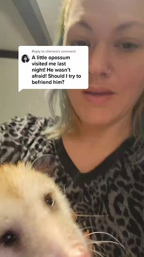 Replying to @cferrero