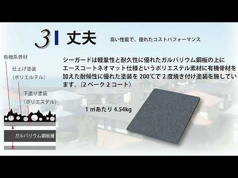シーガード屋根改修工法２０２２