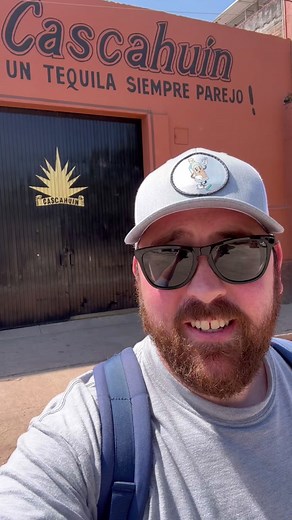 Rob | The Tequila Collective on TikTok