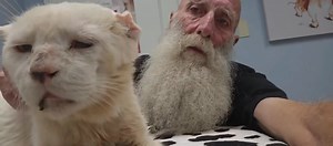 “Chiều nay, Rex đã rời đi trong vòng tay mọi người, sau thời gian chống chọi với suy gan giai đoạn cuối. Cậu bé đã được yêu thương thật nhiều và sẽ mãi được nhớ đến.” Yêu thương gửi đến Rex…❤️ (C) Threads @mrbudjangles | Làm Thinh