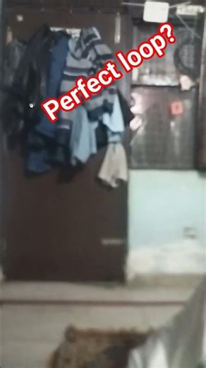 perfect loop 😁😁#youtubeshorts #trending