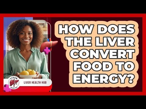 How Does The Liver Convert Food To Energy?