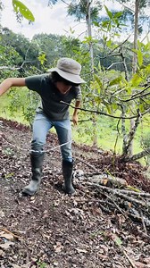 3.1M views · 206K reactions | Vamos a recoger leña en la montaña 蝹 | La Granja del Borrego | Facebook