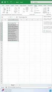 Excel ka Powerful Feature 💯 Text to Columns Explained ‪@premsukhsirohi‬ #excel #exceltips