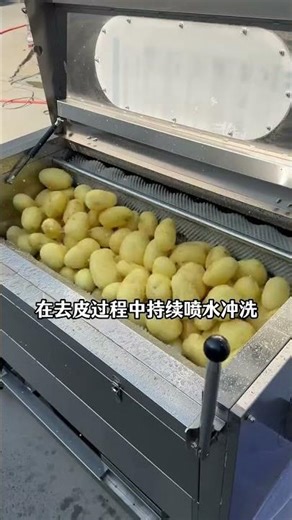 The potato peeling machine is highly efficient, processing up to 2 tons per hour.