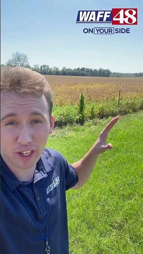 Cullman’s annual Rock The South music festival will move to The Fields at Decatur.