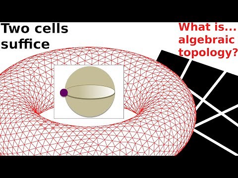 What are...cell complexes?